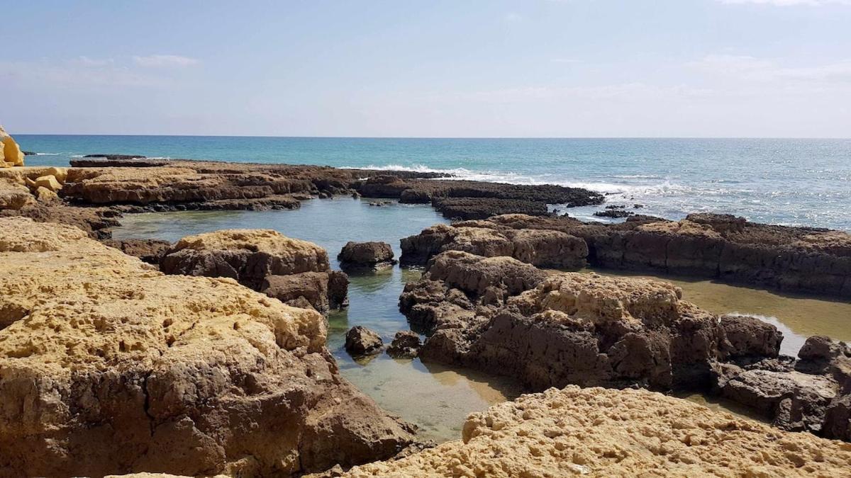 Апартаменты Albufeira Sea View Экстерьер фото
